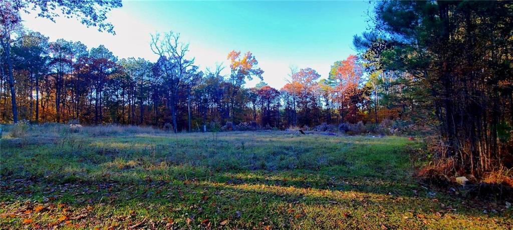 411 Antee Road Boyce, LA 71409 - Photo 2 of 8 Gallery Image 2