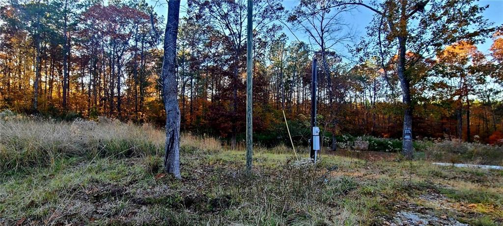 411 Antee Road Boyce, LA 71409 - Photo 4 of 8 Gallery Image 4
