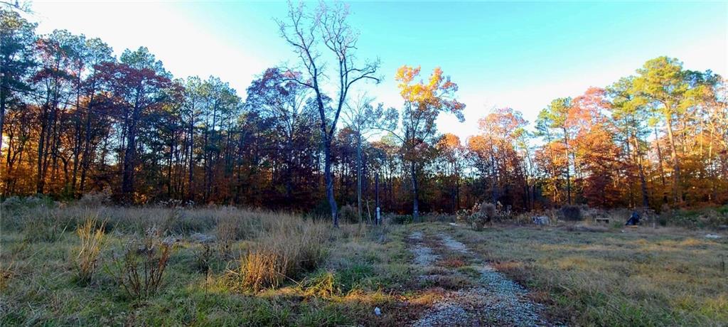 411 Antee Road Boyce, LA 71409 - Photo 5 of 8 Gallery Image 5