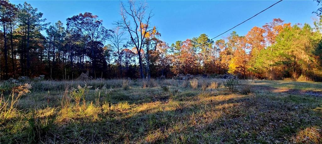 411 Antee Road Boyce, LA 71409 - Photo 6 of 8 Gallery Image 6