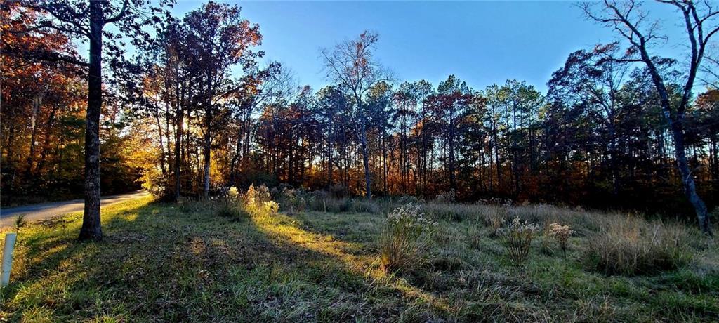 411 Antee Road Boyce, LA 71409 - Photo 7 of 8 Gallery Image 7