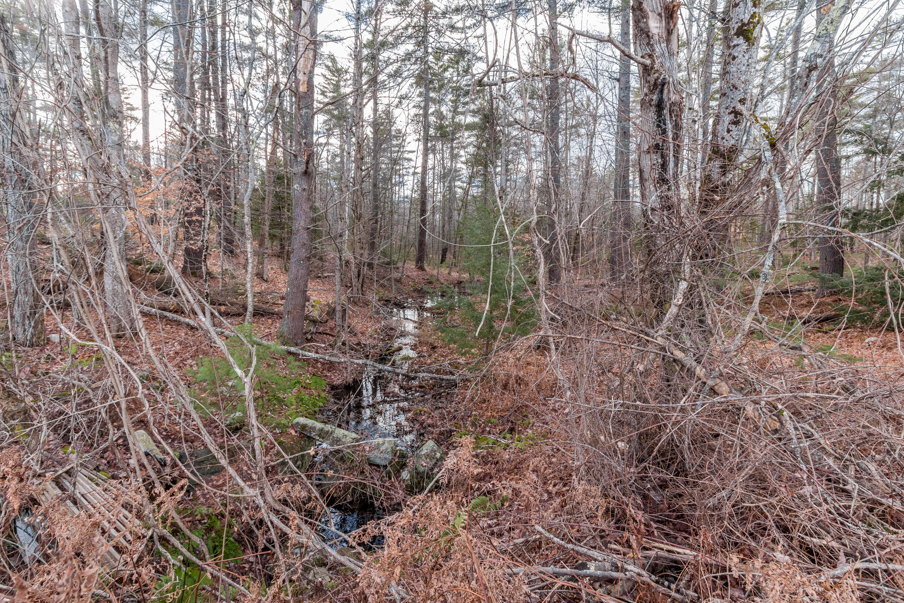 560 Cape Road Standish, ME 04084 - Photo 47 of 111 20221201TR-71096