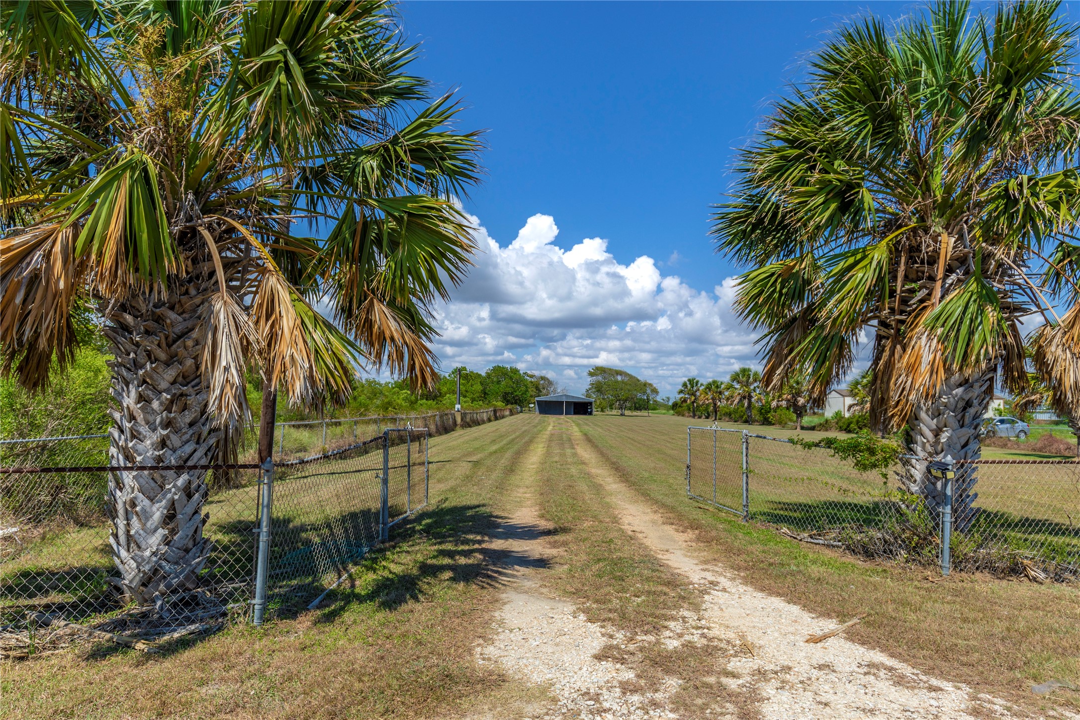 267 South Gulf Road Bay City, TX 77414 - Photo 21 of 26 a view of a yard with a tree