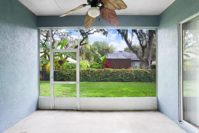 a view of a yard with plants and a large tree