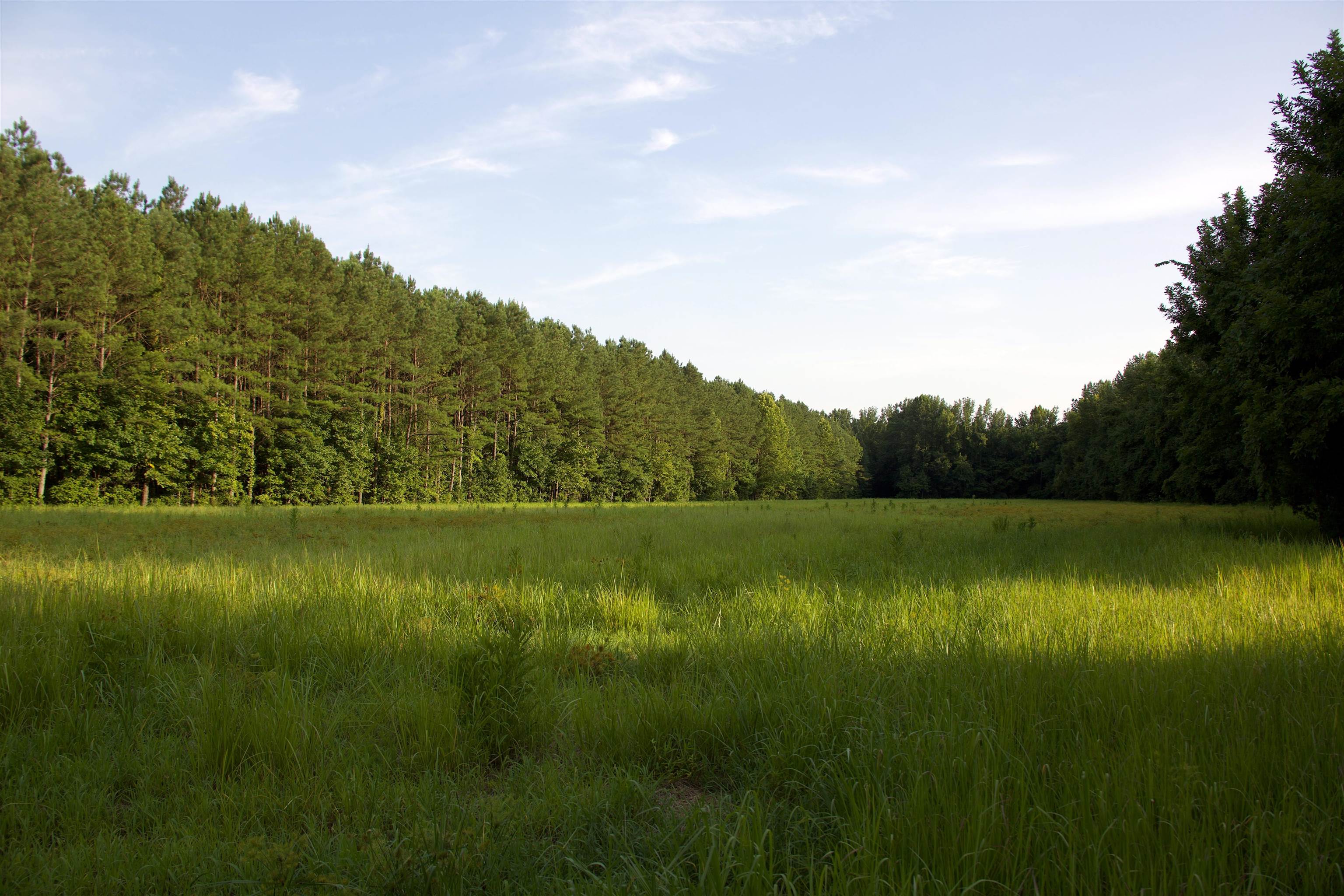 901 Duck Pond Road Holly Springs, MS 38635 - Photo 12 of 31