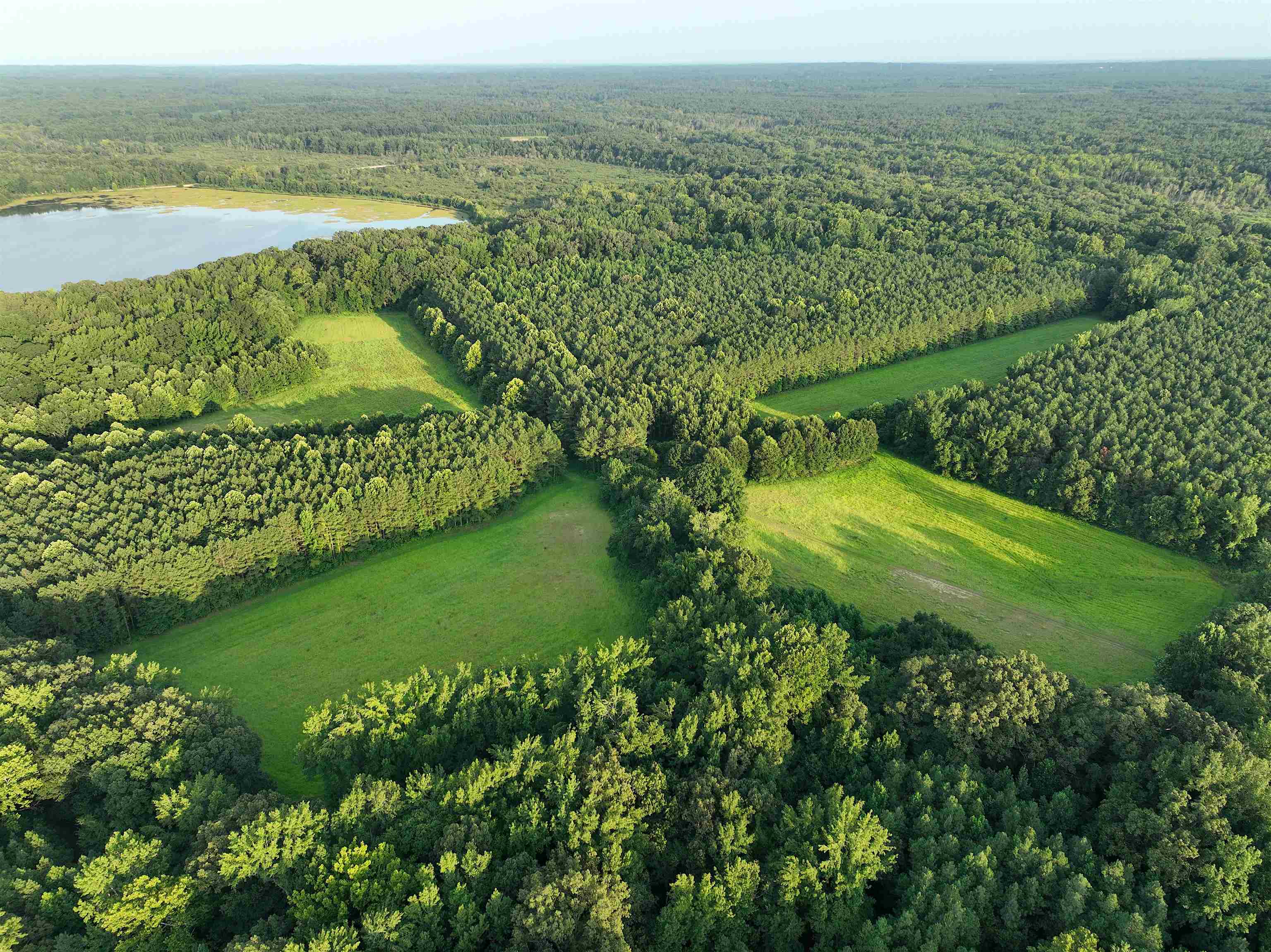 901 Duck Pond Road Holly Springs, MS 38635 - Photo 13 of 31 a view of a lake with a mountain in the background