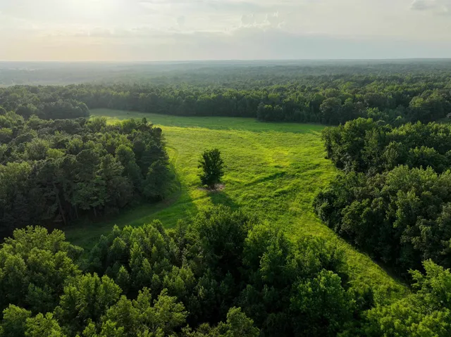 a view of a green field with trees