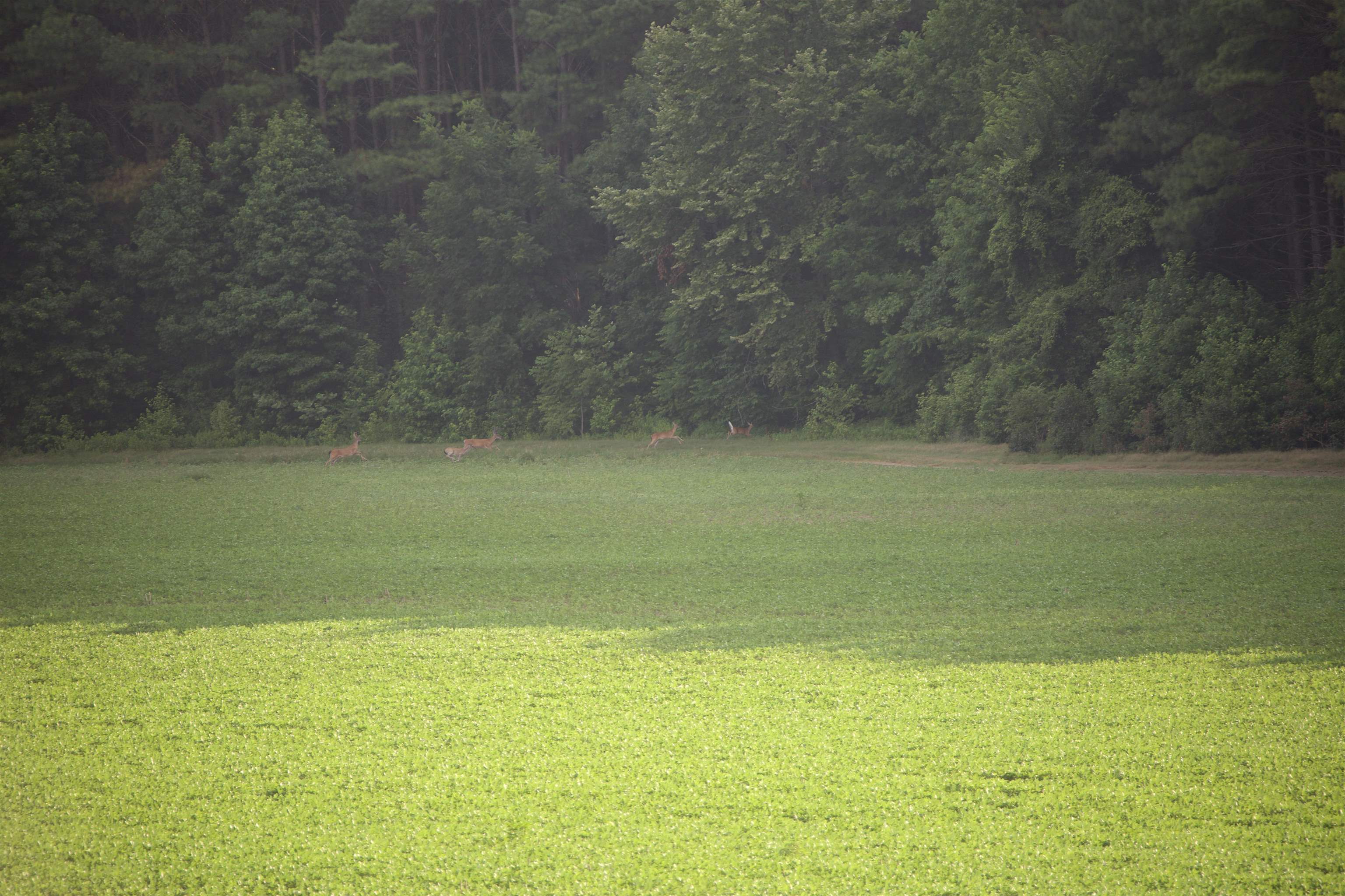 901 Duck Pond Road Holly Springs, MS 38635 - Photo 18 of 31 a view of a ocean view