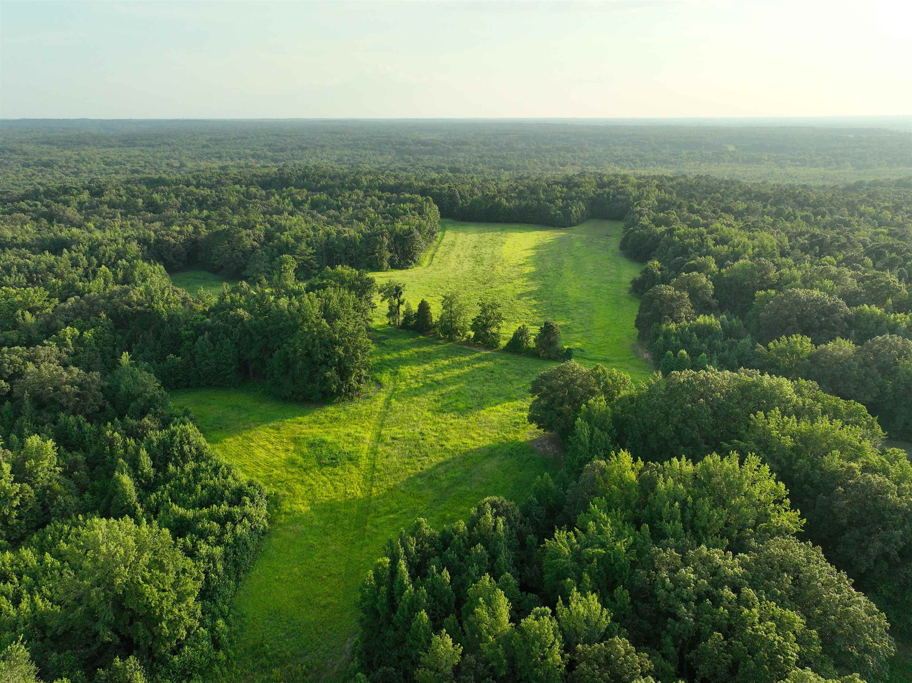 901 Duck Pond Road Holly Springs, MS 38635 - Photo 20 of 31 an aerial view of green landscape with trees houses and mountain view