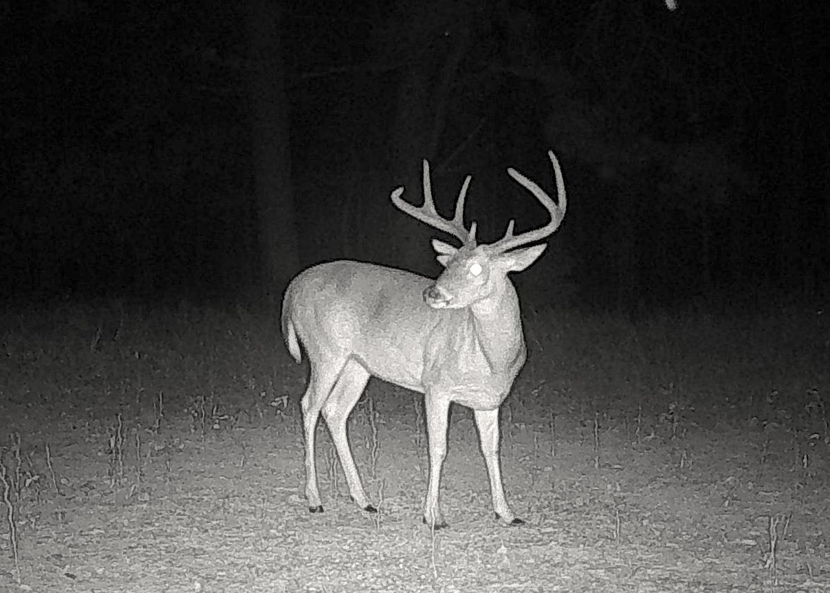 901 Duck Pond Road Holly Springs, MS 38635 - Photo 21 of 31 a picture of a table in a room