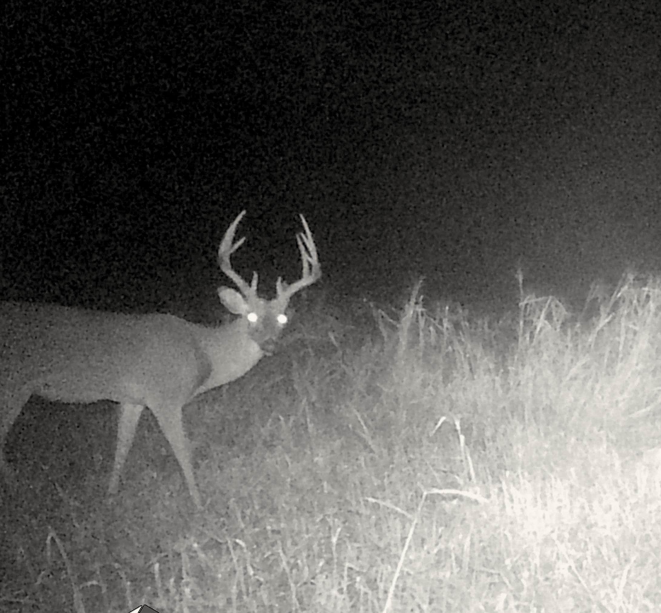 901 Duck Pond Road Holly Springs, MS 38635 - Photo 22 of 31 a close view of tap