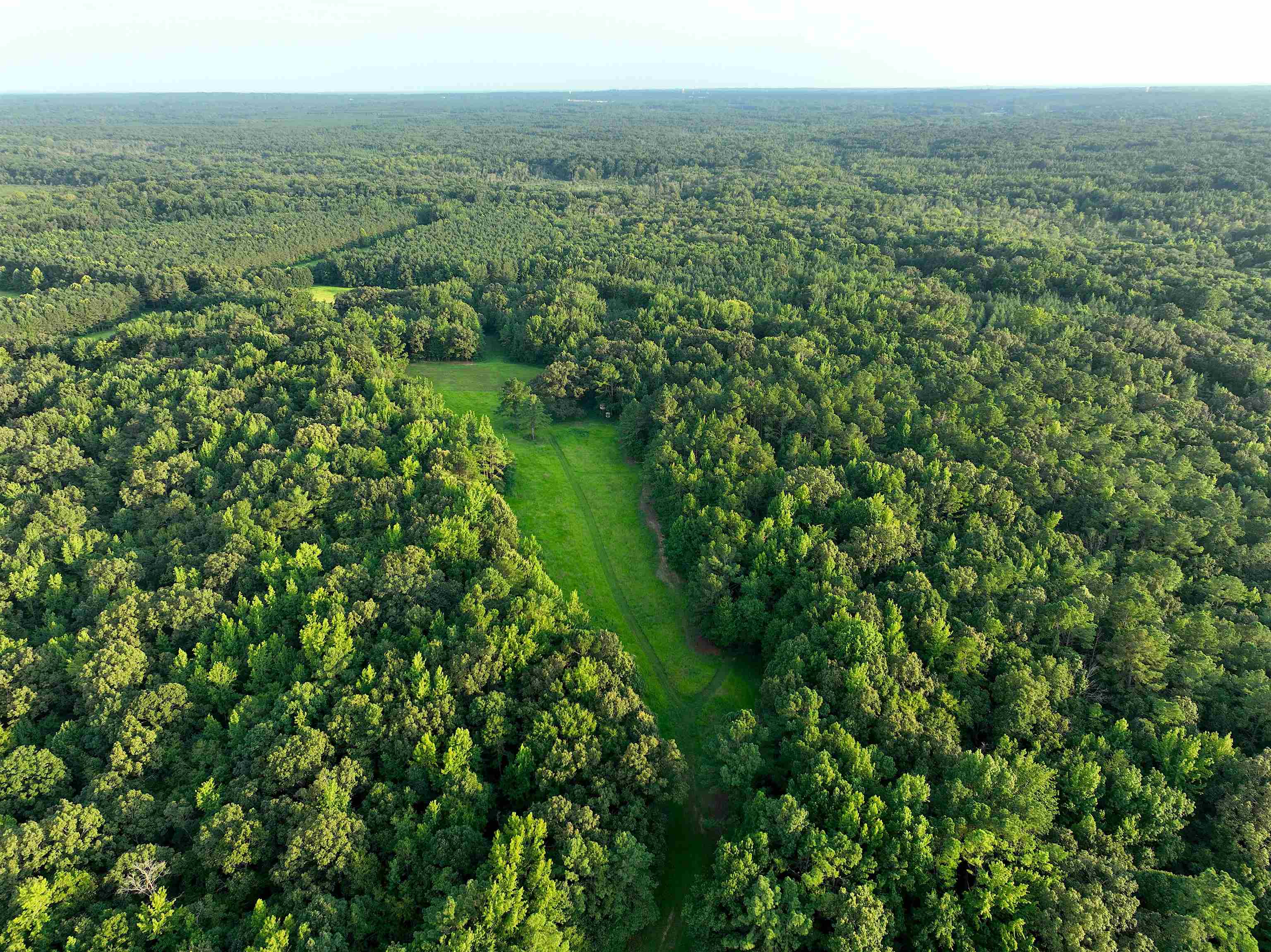 901 Duck Pond Road Holly Springs, MS 38635 - Photo 24 of 31 a view of a green field with lots of bushes