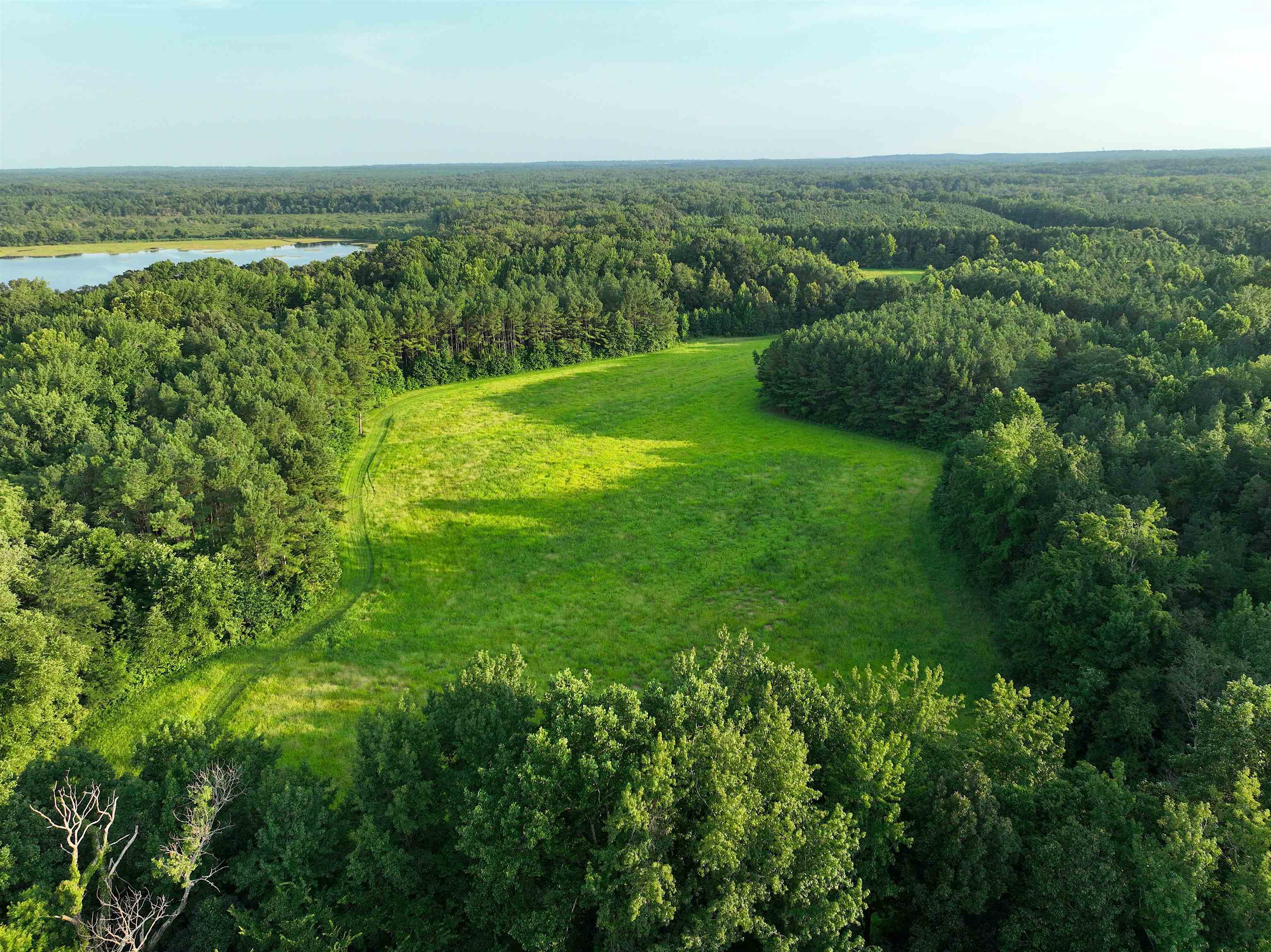 901 Duck Pond Road Holly Springs, MS 38635 - Photo 25 of 31 a view of a green field with lots of bushes