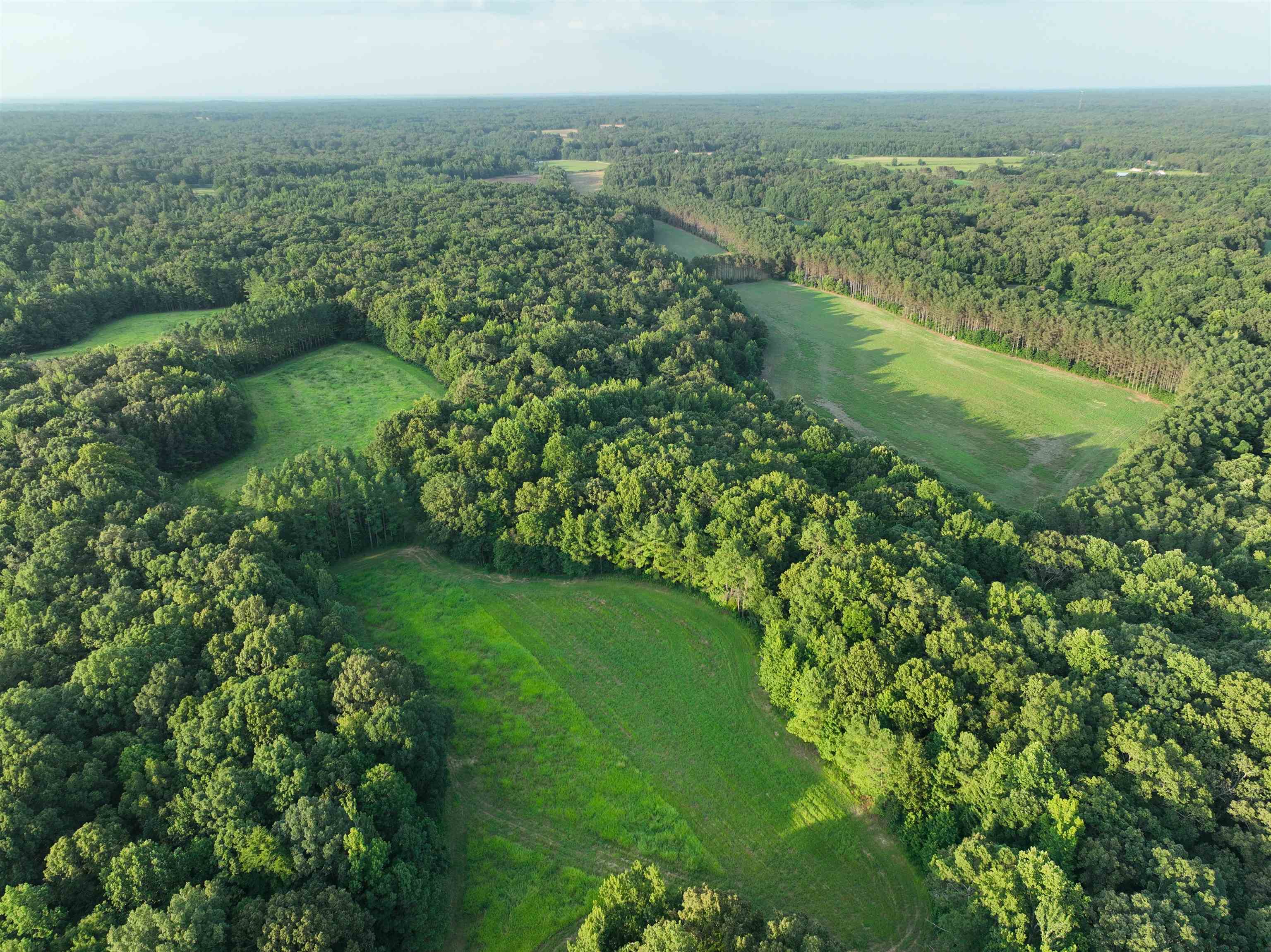 901 Duck Pond Road Holly Springs, MS 38635 - Photo 27 of 31 a view of a green field with lots of bushes