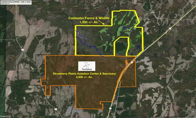 $6,000,000 | 901 Duck Pond Road, Holly Springs, MS 38635