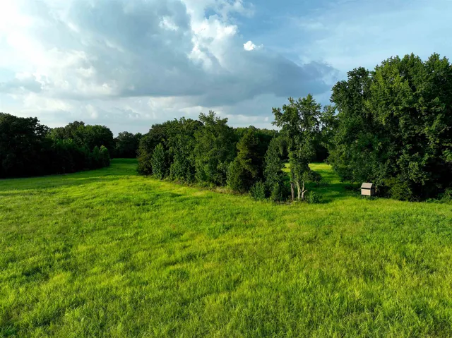a backyard of a house with lots of green space