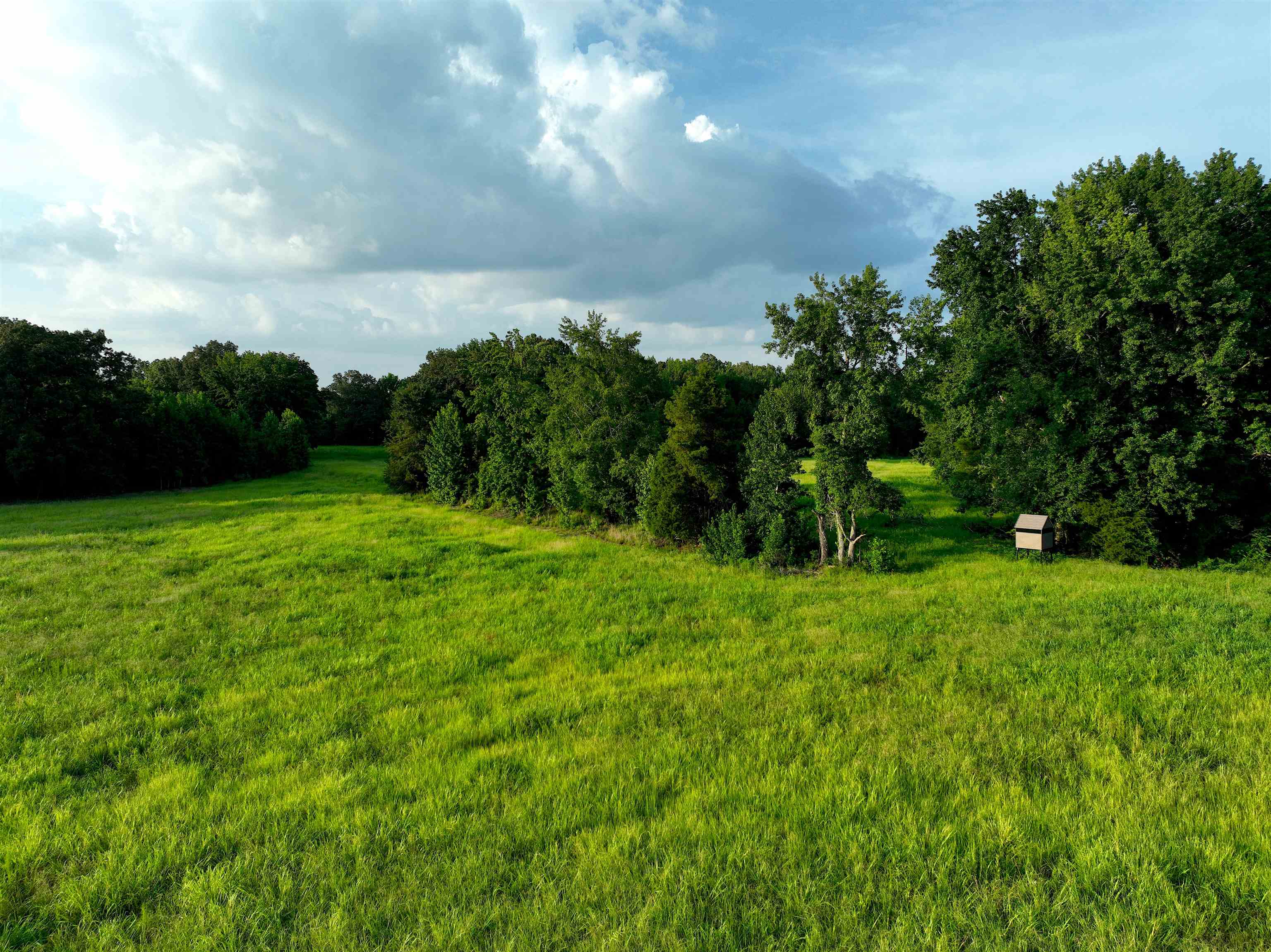 901 Duck Pond Road Holly Springs, MS 38635 - Photo 3 of 31 a backyard of a house with lots of green space
