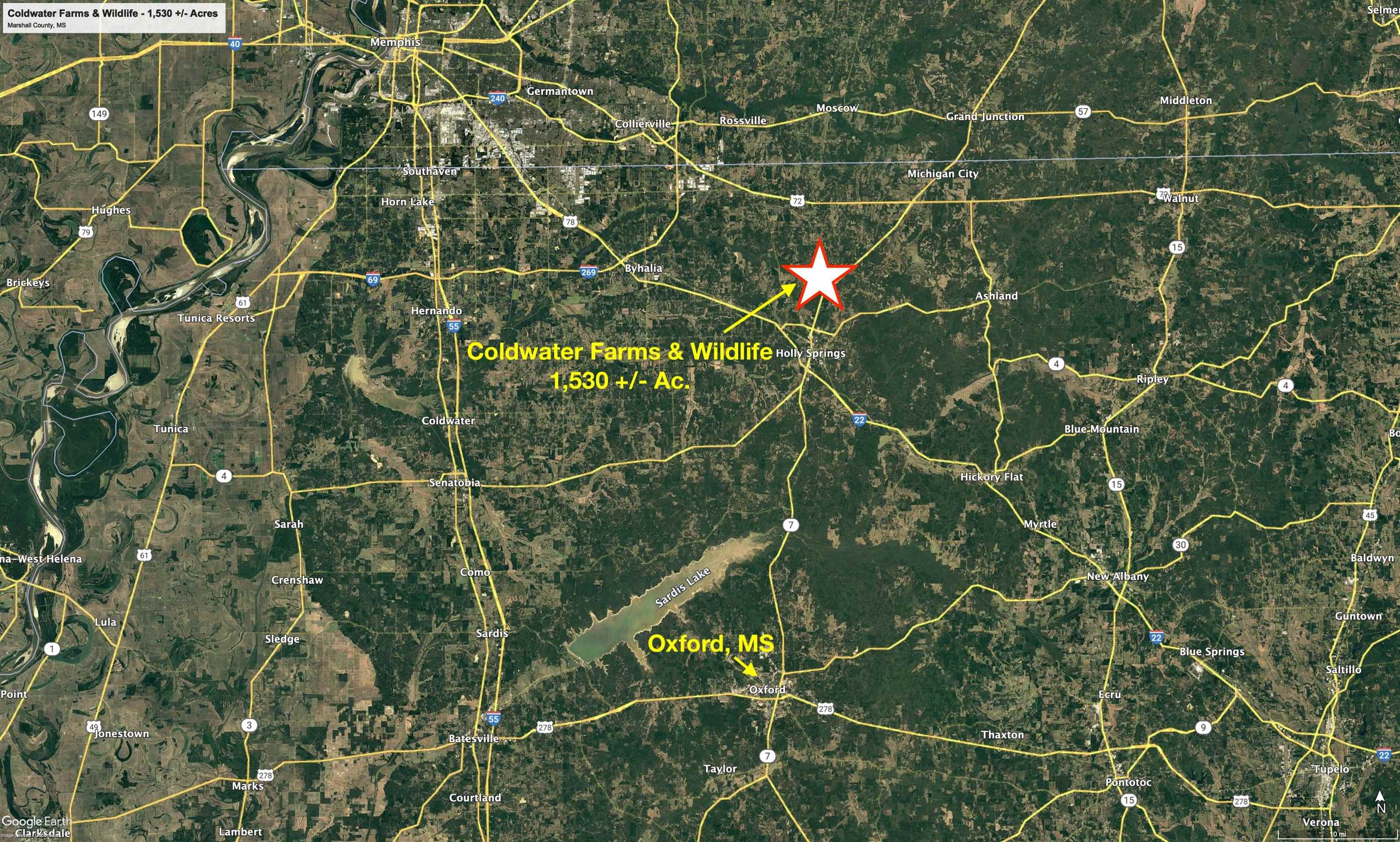 901 Duck Pond Road Holly Springs, MS 38635 - Photo 31 of 31 a close up of a plant and a plant