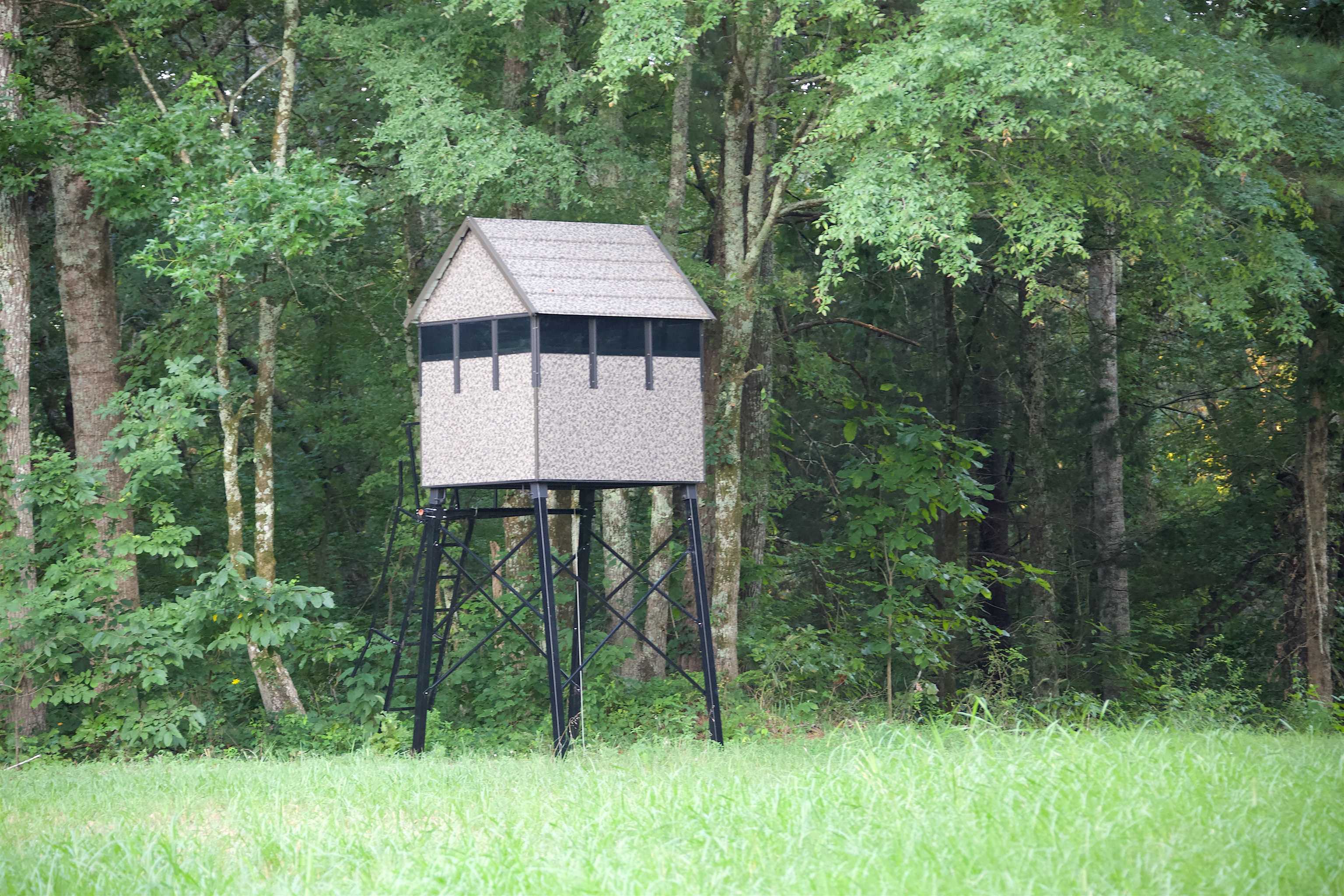 901 Duck Pond Road Holly Springs, MS 38635 - Photo 4 of 31 a view of a house with a yard