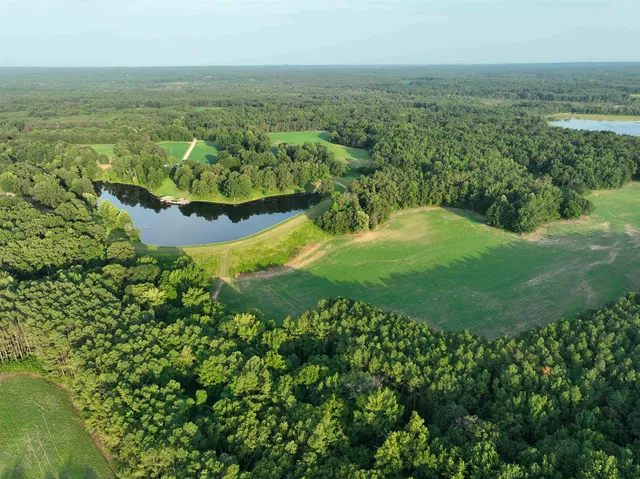 an aerial view of residential houses with outdoor space and trees
