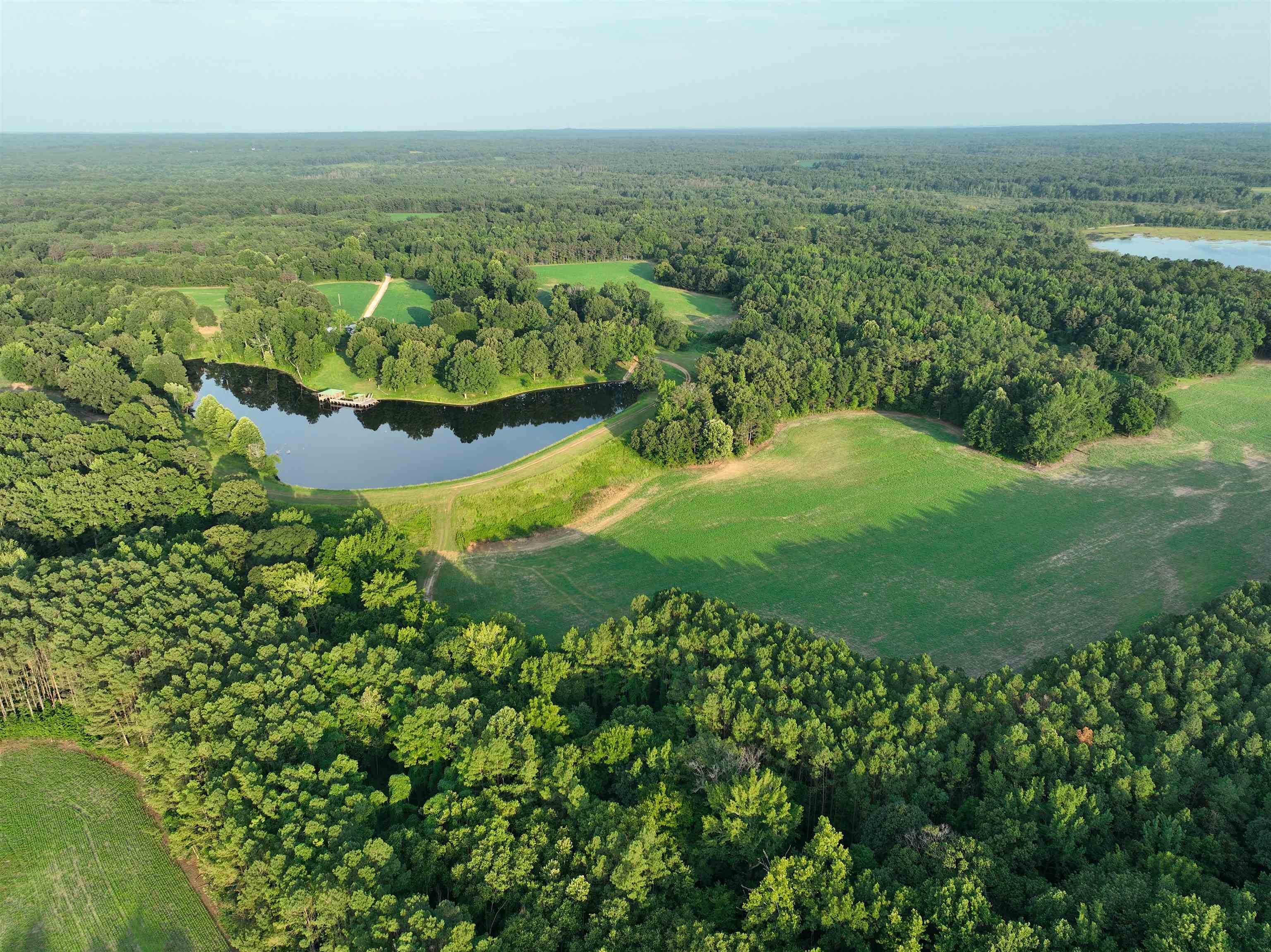 901 Duck Pond Road Holly Springs, MS 38635 - Photo 8 of 31 an aerial view of residential houses with outdoor space and trees