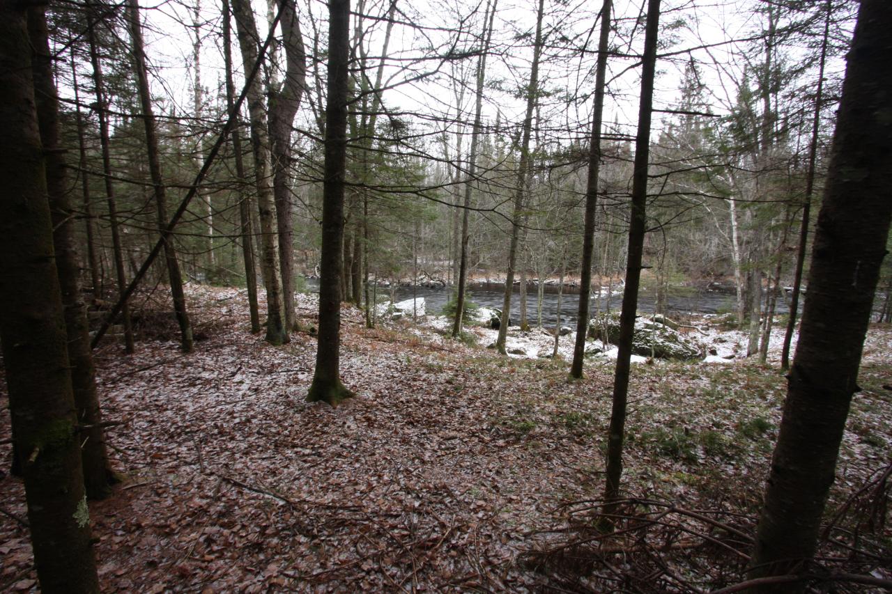 Lot 9 Murmuring Pnes Trail Rhinelander, WI 54501 - Photo 9 of 17 Gallery Image 9