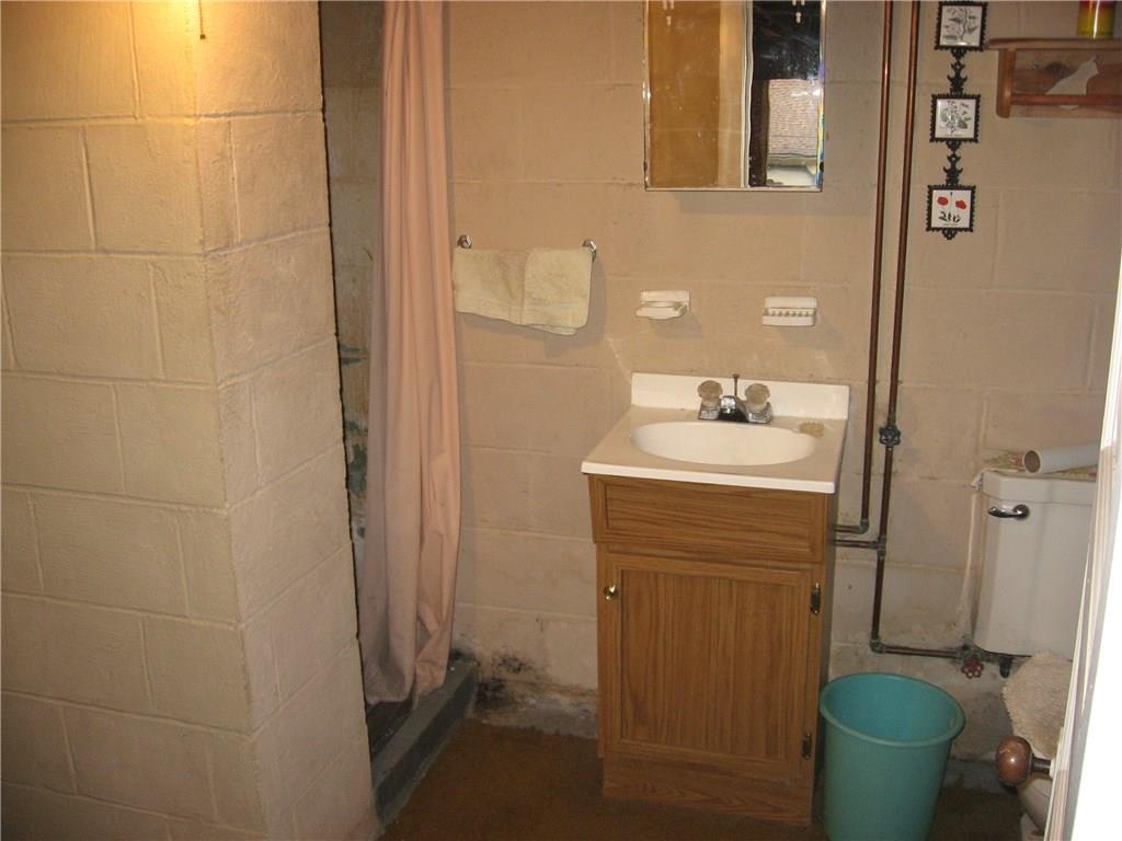 722 Leighty Hollow Road Ruffs Dale, PA 15679 - Photo 17 of 18 Basement bathroom with a shower.