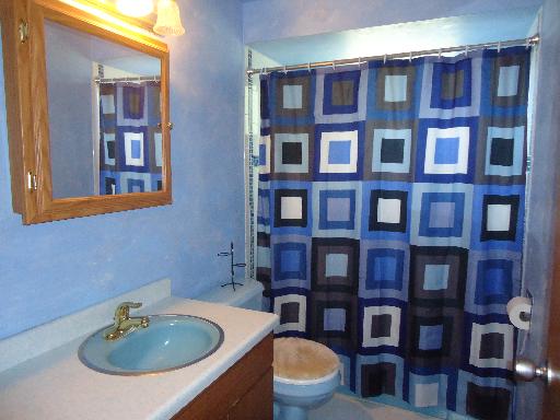 1186 Ridgeway Drive Elgin, IL 60123 - Photo 8 of 16