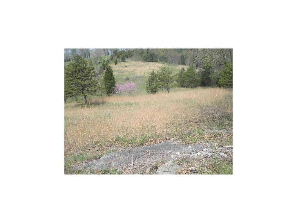 486 Ridge Road Bulls Gap, TN 37711 - Photo 3 of 3 Photo 3