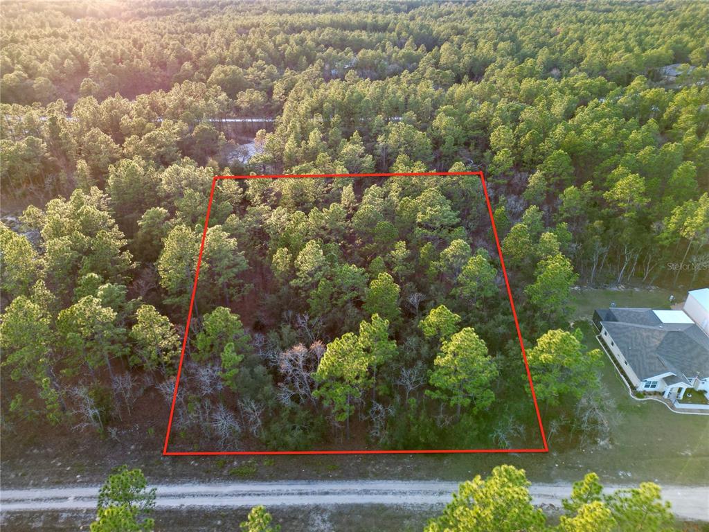 Southwest 124th Ter Road Ocala, FL 34481 - Photo 5 of 11