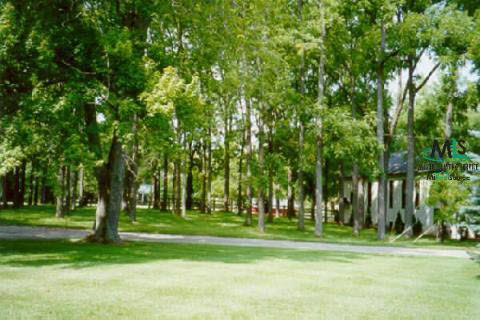 617933-5.JPG