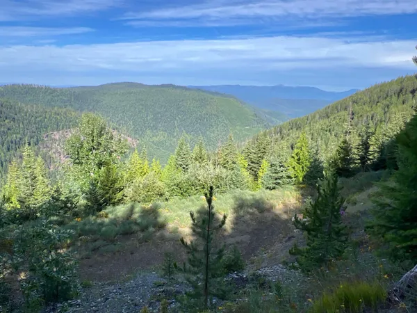 $350,000 | Nka Frisco Standard Road, Colville, WA 99114