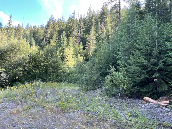 $350,000 | Nka Frisco Standard Road, Colville, WA 99114