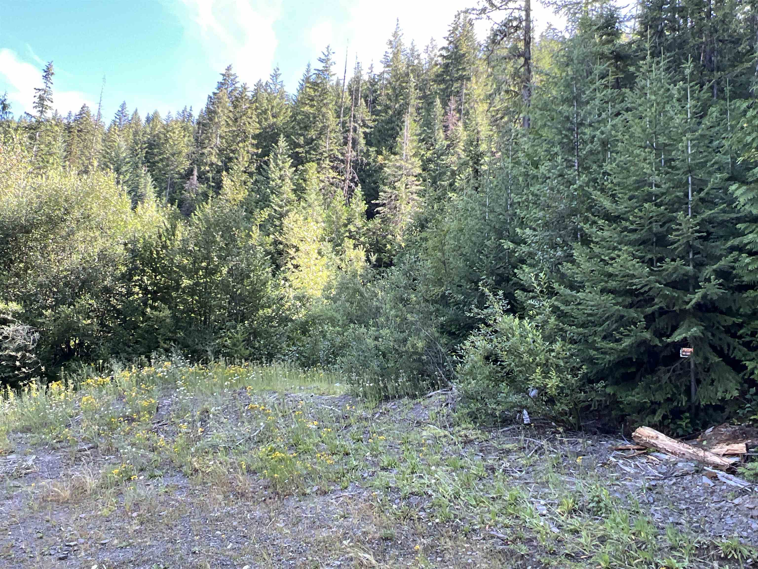 Nka Frisco Standard Road Colville, WA 99114 - Photo 11 of 50