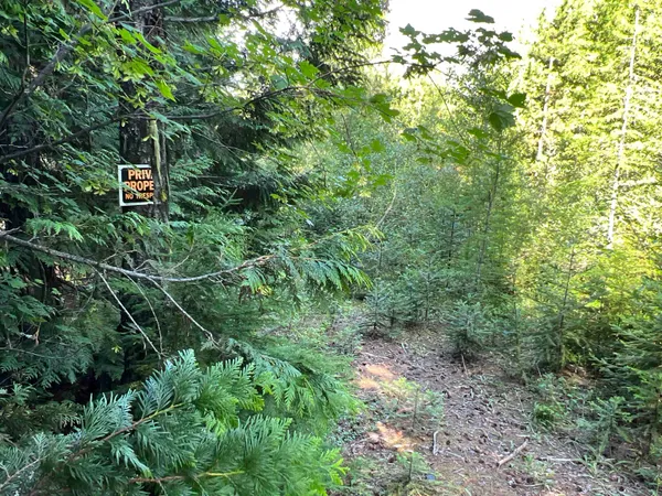 $350,000 | Nka Frisco Standard Road, Colville, WA 99114