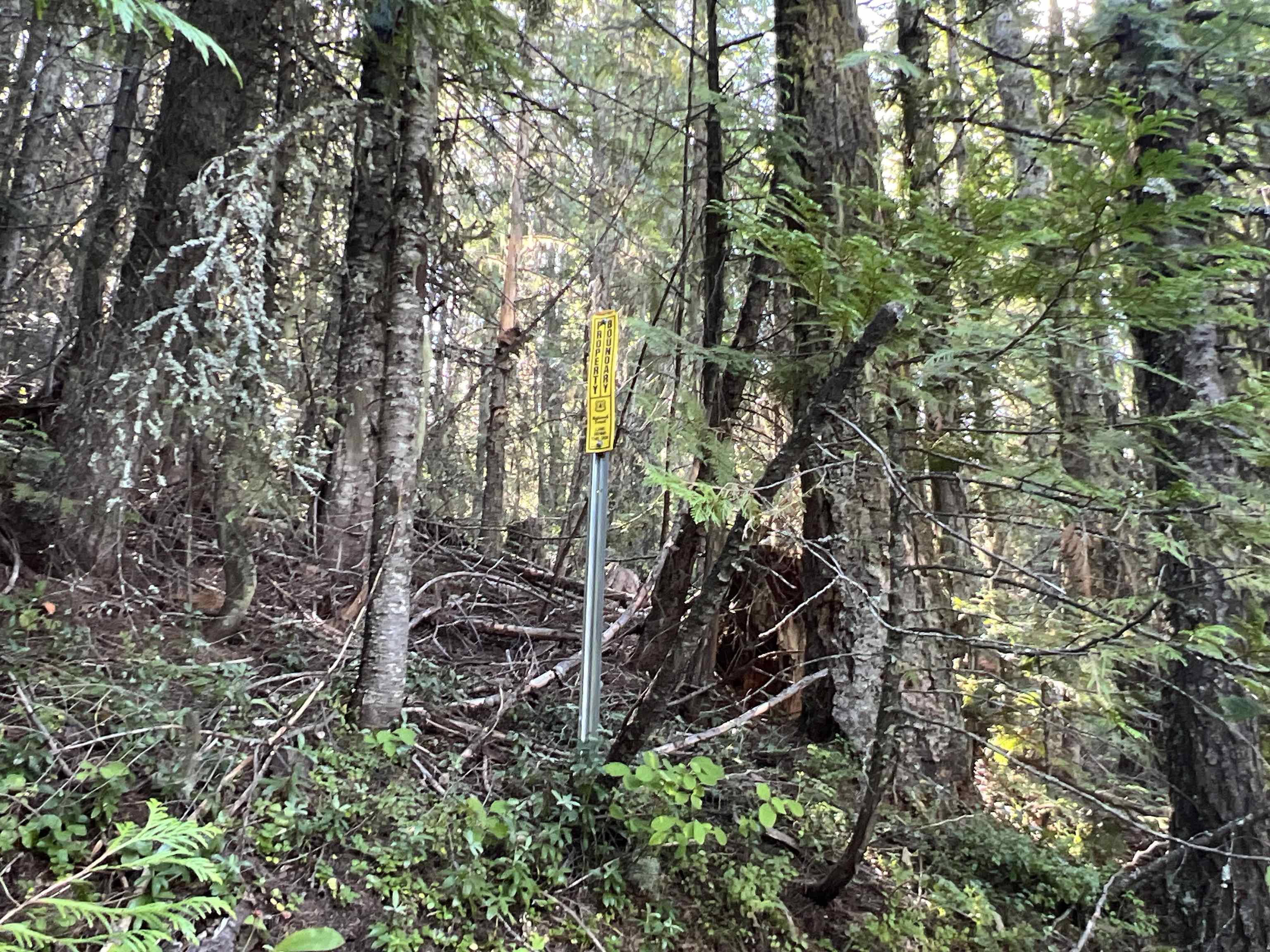 Nka Frisco Standard Road Colville, WA 99114 - Photo 14 of 50