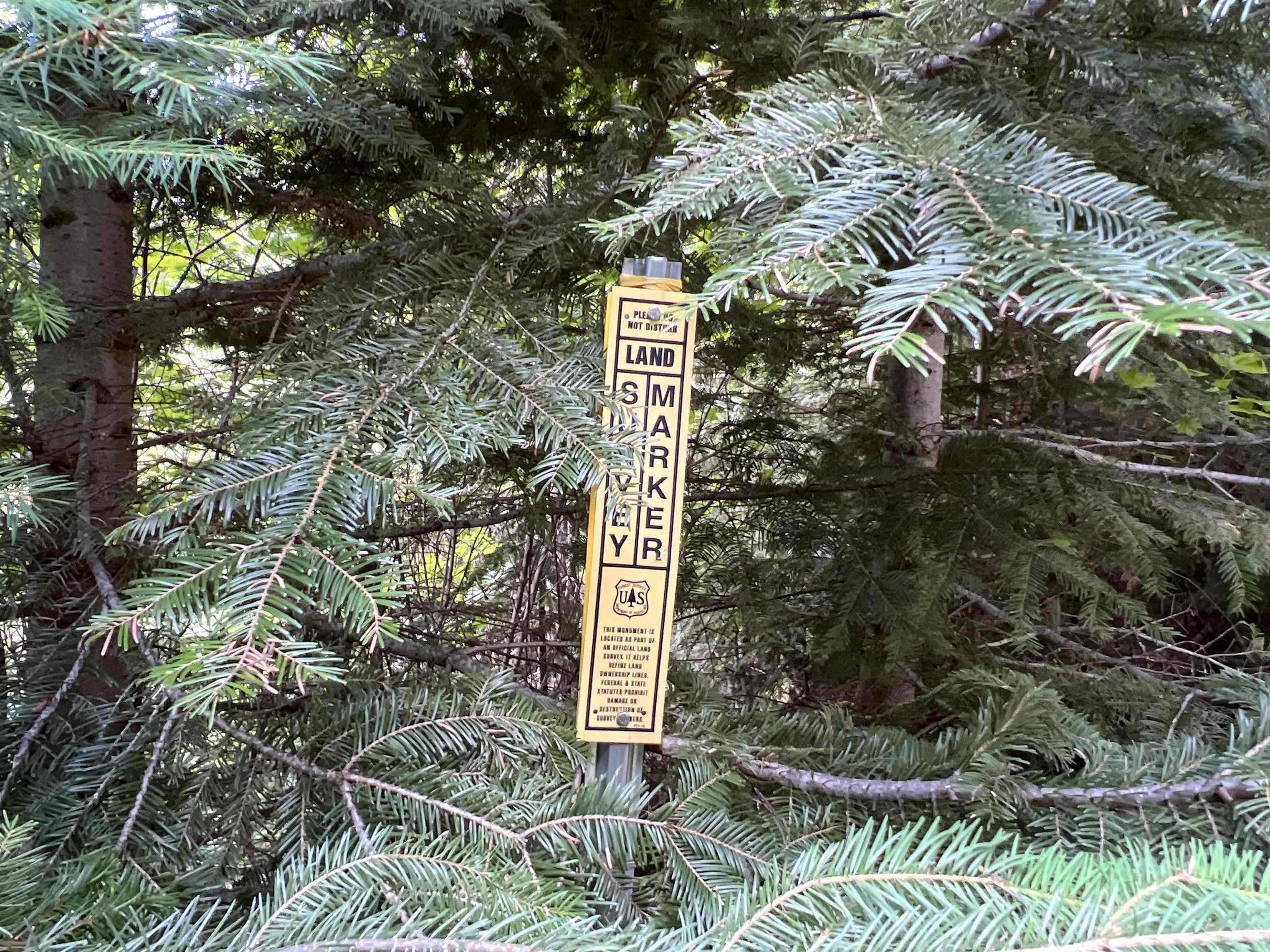 Nka Frisco Standard Road Colville, WA 99114 - Photo 15 of 50