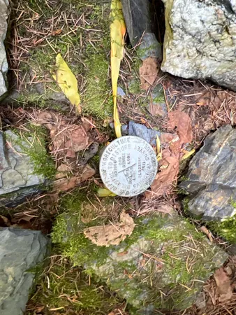 $350,000 | Nka Frisco Standard Road, Colville, WA 99114