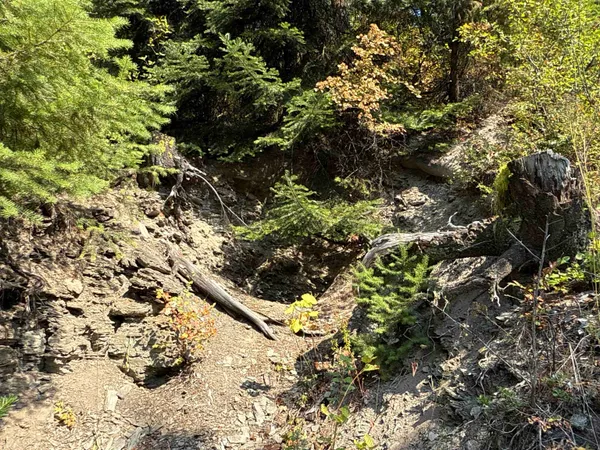 $350,000 | Nka Frisco Standard Road, Colville, WA 99114