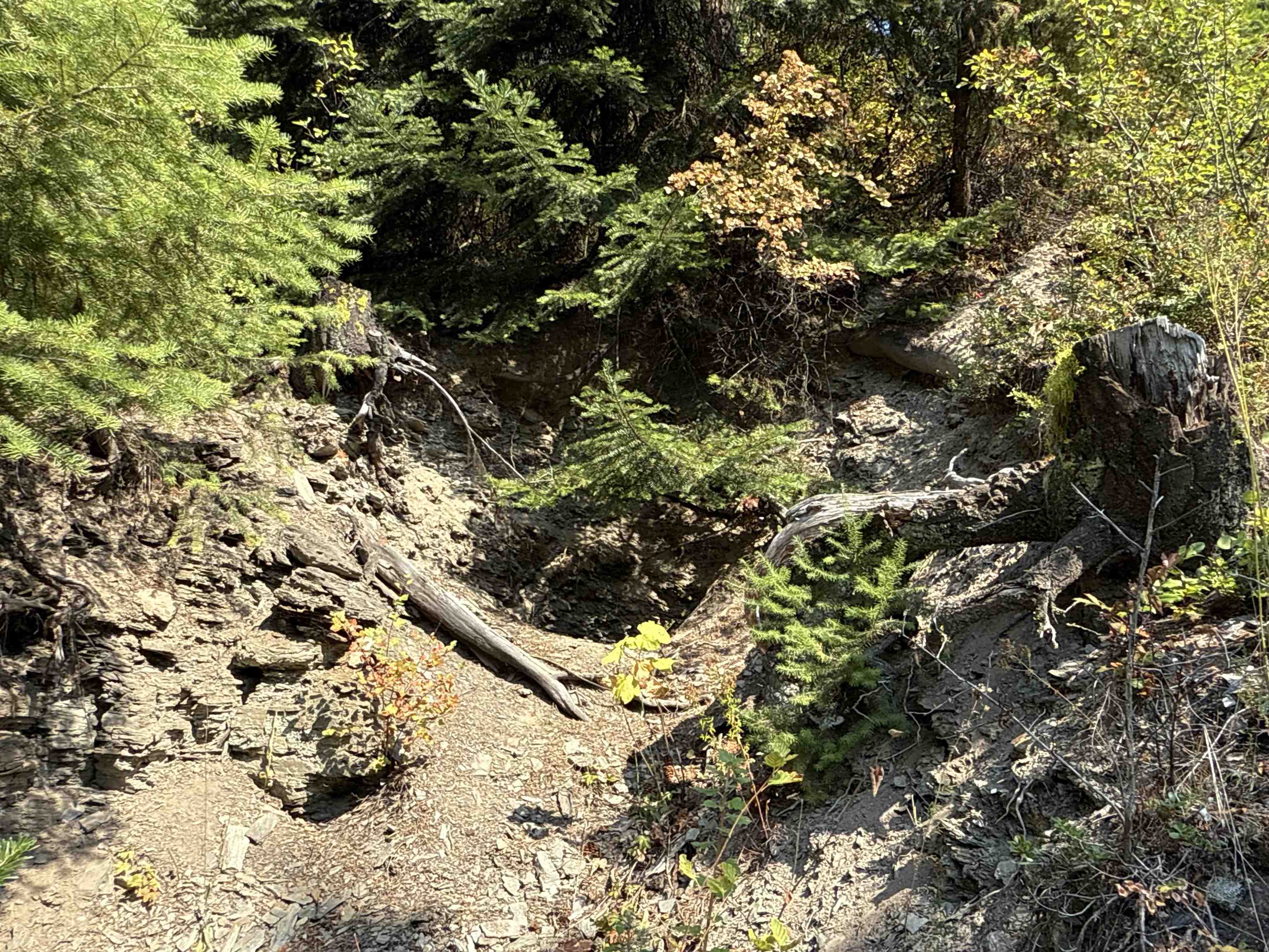 Nka Frisco Standard Road Colville, WA 99114 - Photo 17 of 50