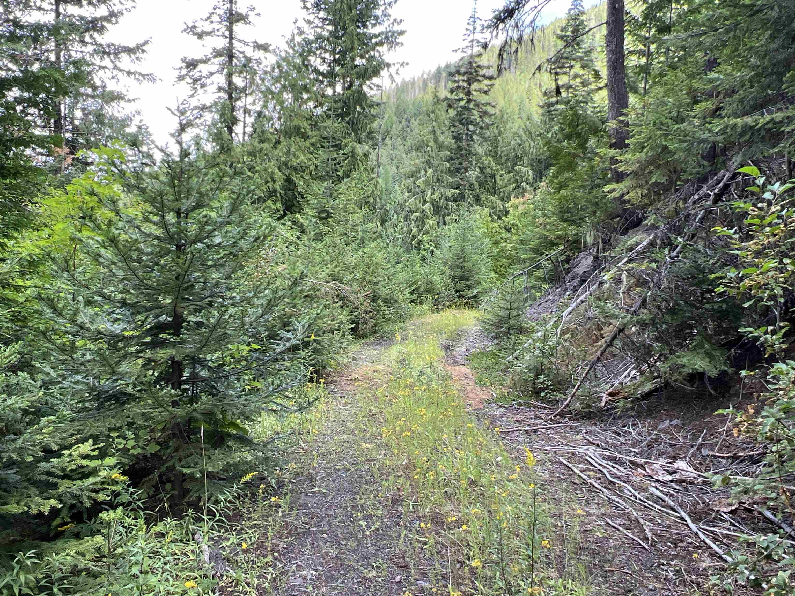 Nka Frisco Standard Road Colville, WA 99114 - Photo 18 of 50