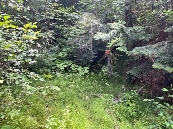 $350,000 | Nka Frisco Standard Road, Colville, WA 99114