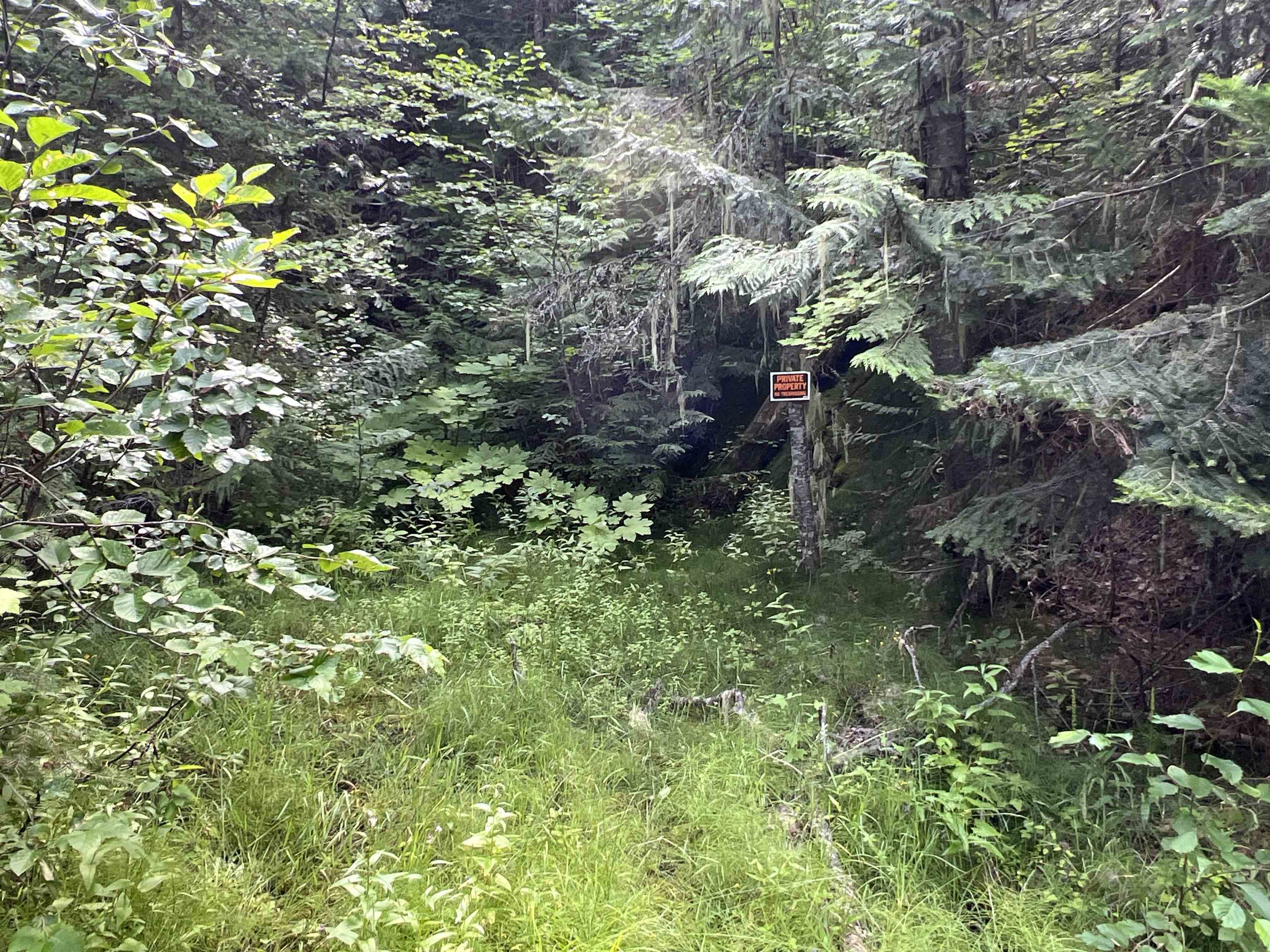 Nka Frisco Standard Road Colville, WA 99114 - Photo 19 of 50