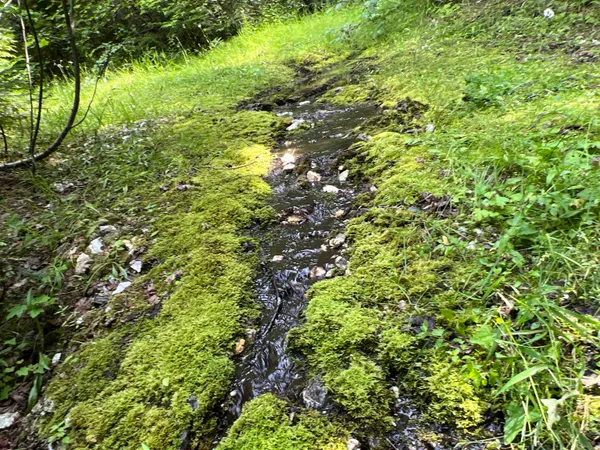 $350,000 | Nka Frisco Standard Road, Colville, WA 99114