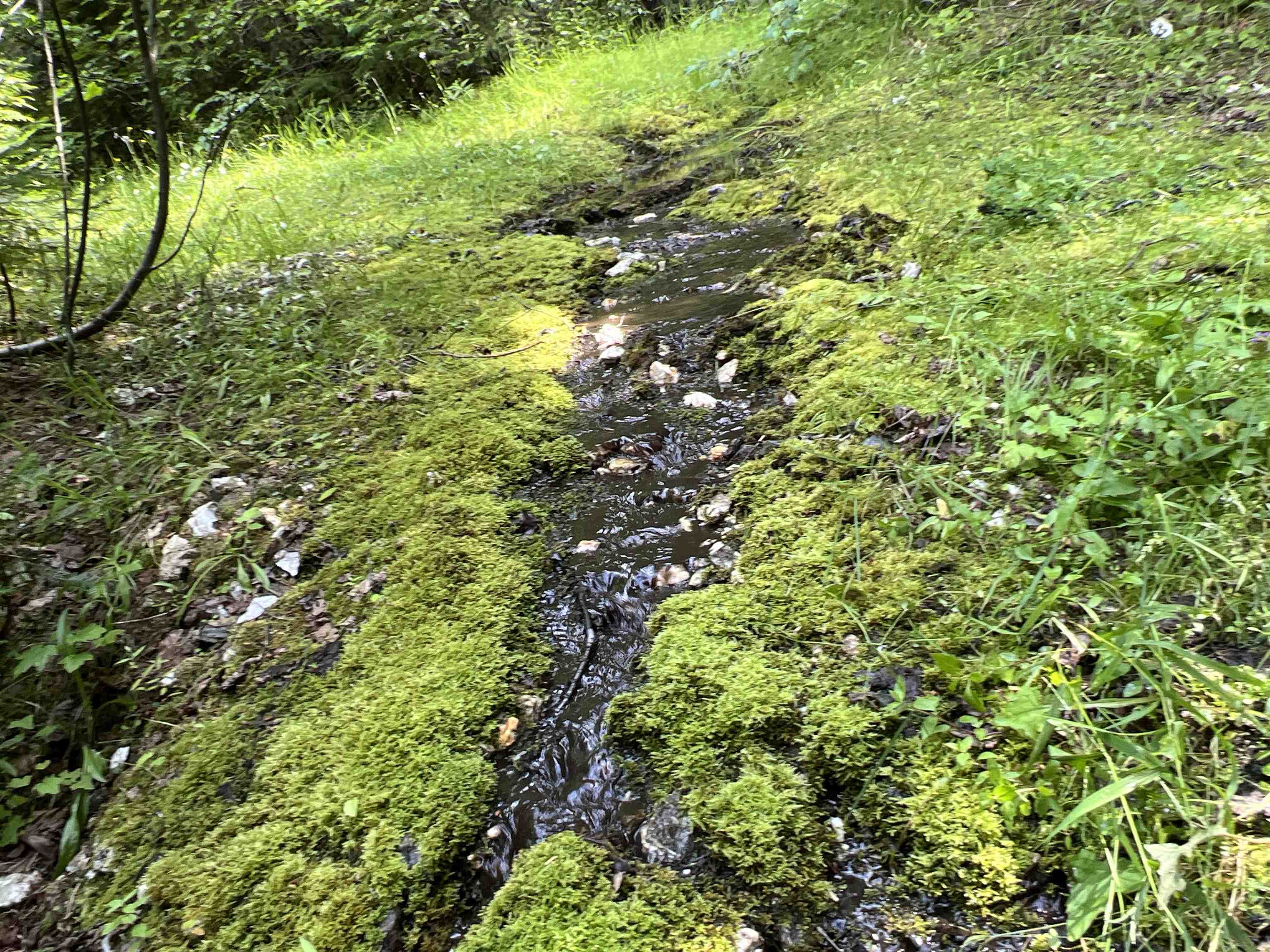 Nka Frisco Standard Road Colville, WA 99114 - Photo 20 of 50