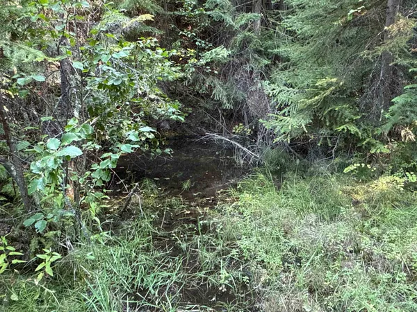 $350,000 | Nka Frisco Standard Road, Colville, WA 99114