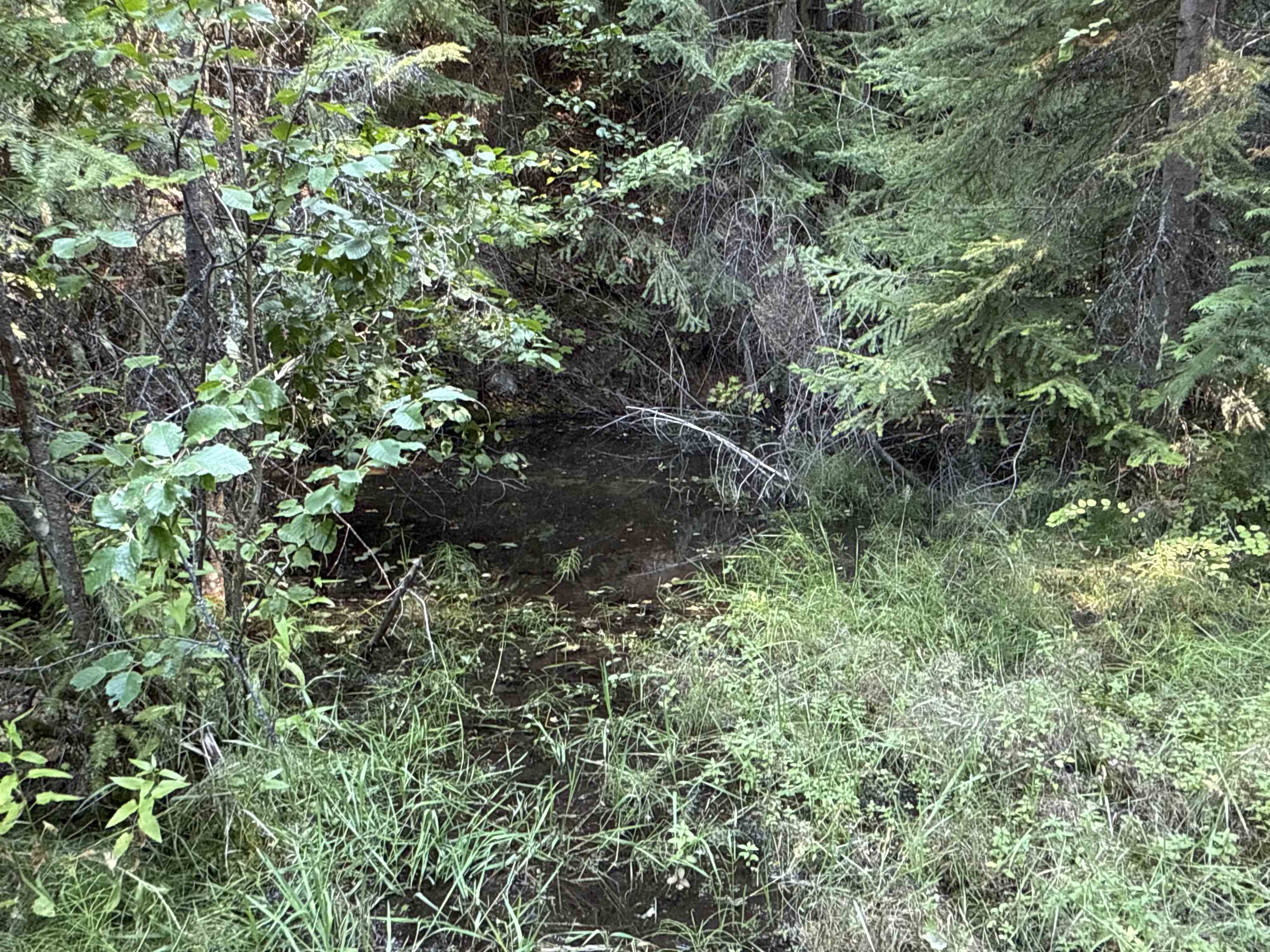 Nka Frisco Standard Road Colville, WA 99114 - Photo 21 of 50