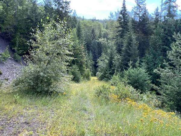 $350,000 | Nka Frisco Standard Road, Colville, WA 99114