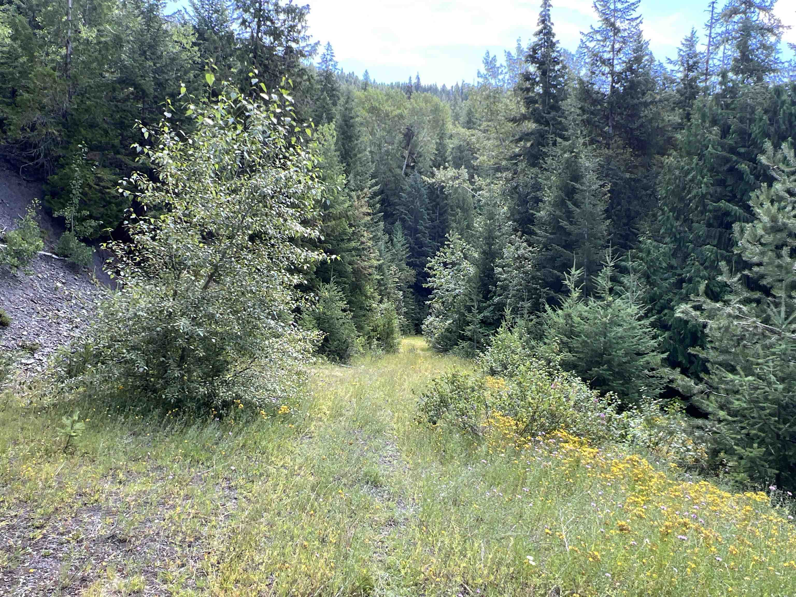 Nka Frisco Standard Road Colville, WA 99114 - Photo 23 of 50