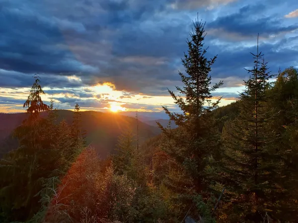 $350,000 | Nka Frisco Standard Road, Colville, WA 99114